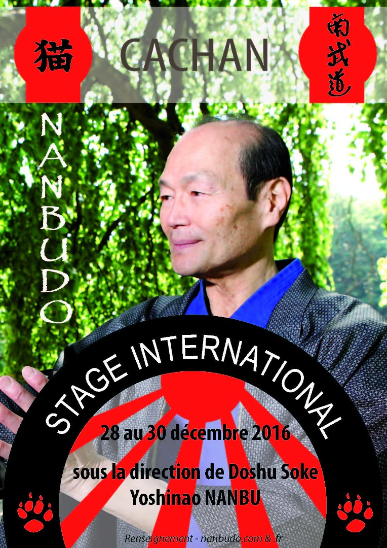 Stage International CACHAN