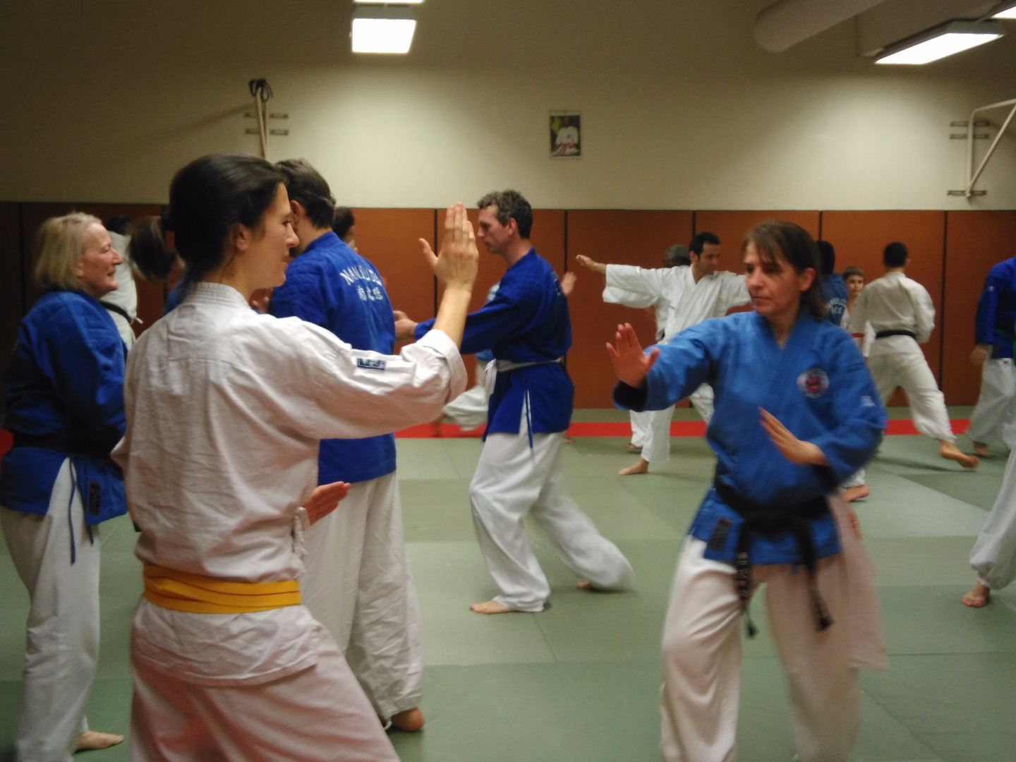 Stage Ile de France avec Dai Shihan Stéphane Carel