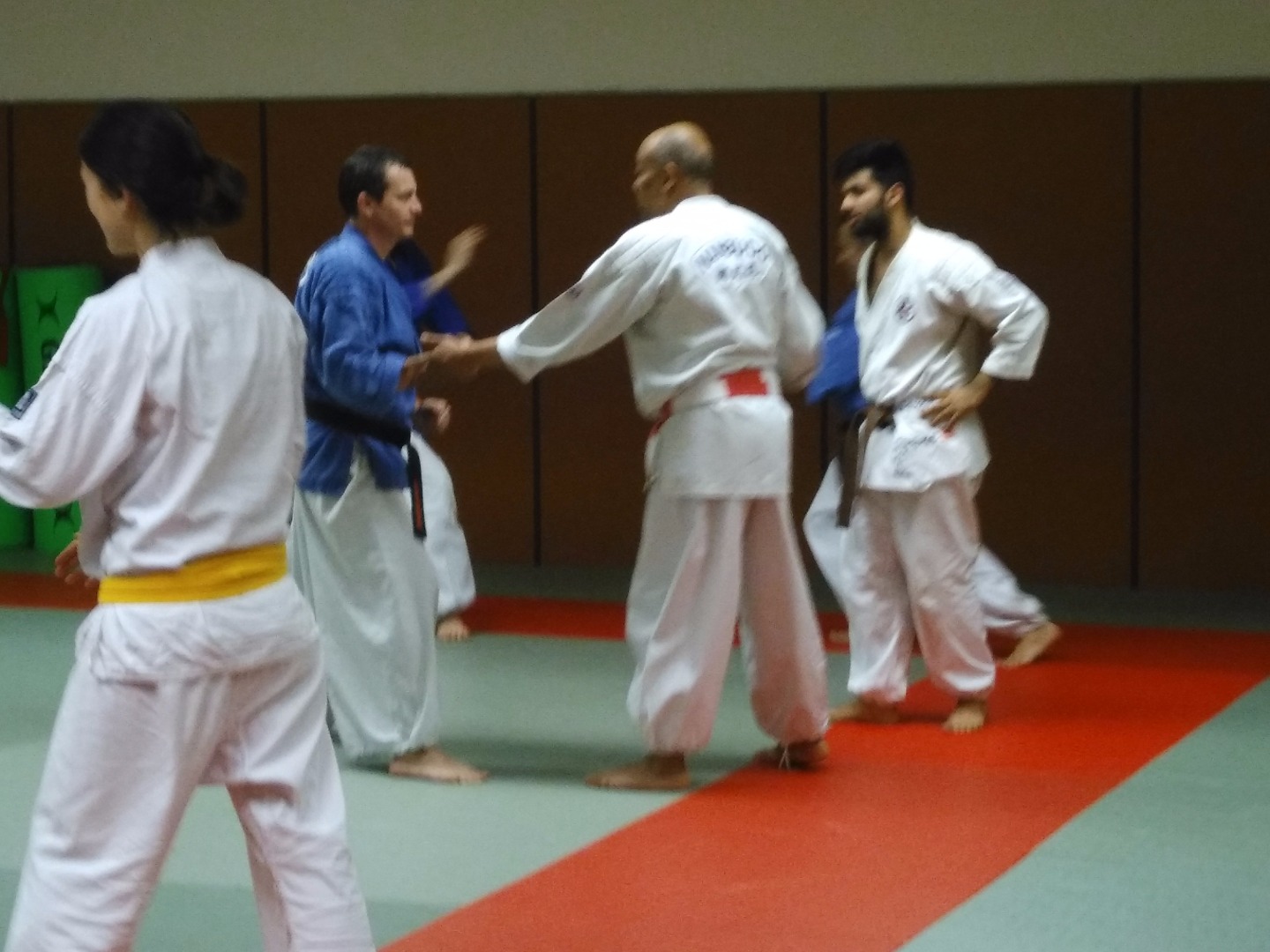 Stage Ile de France avec Dai Shihan Stéphane Carel